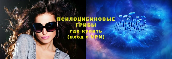 a pvp Богданович