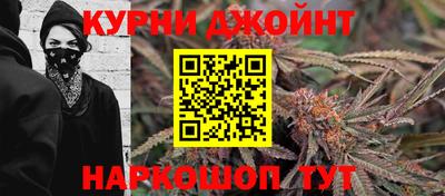 стаф Севастополь