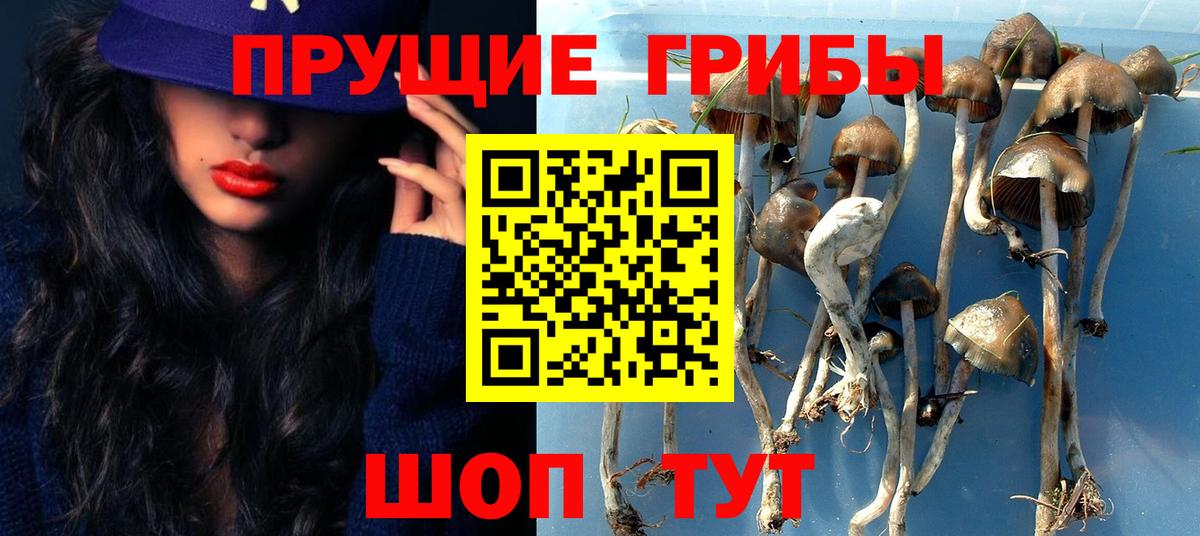 Псилоцибиновые грибы мухоморы Пыть-Ях