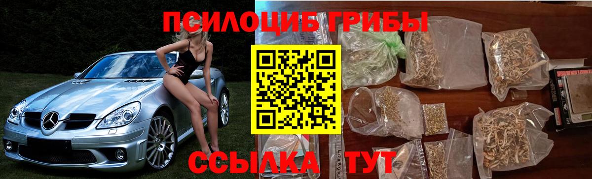 Псилоцибиновые грибы Cubensis  Вход с VPN  Пыть-Ях  Галлюциногенные грибы прущие грибы 