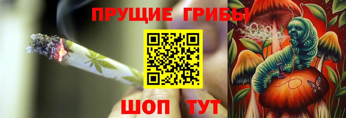 APVP Пыть-Ях